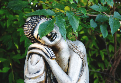 Close-up of statue against leaves