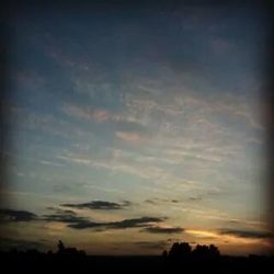 Silhouette of trees at sunset