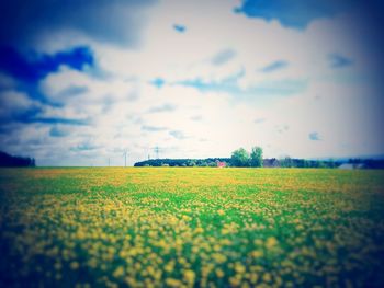 Scenic view of field against sky