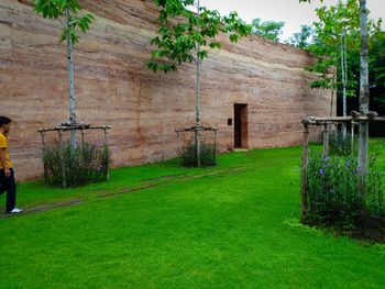 Plants growing on field against building