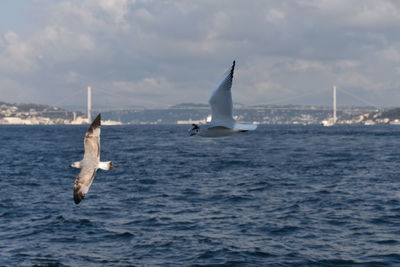 View of sailboat in sea
