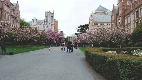 People walking on road along buildings