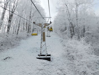 Snow covered land amidst trees during winter