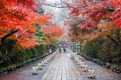 Rear view of people walking on footpath during autumn