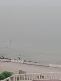 Birds on beach against sky