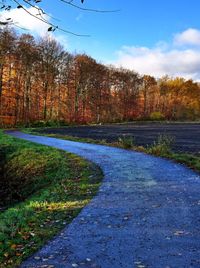 View of trees against blue sky