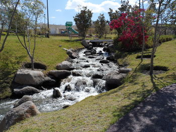 Scenic view of waterfall by trees against sky