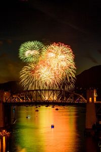 Firework display over river against sky at night