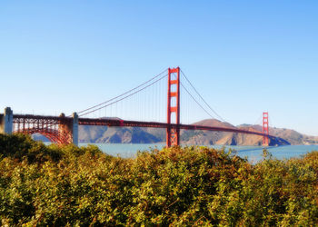 View of suspension bridge against clear blue sky