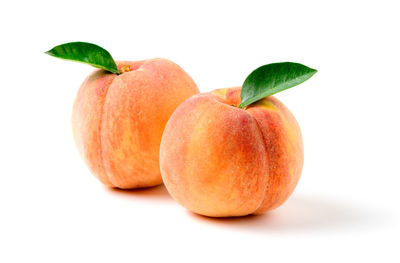 Close-up of oranges against white background