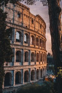 Sunset in rome, colosseum view 