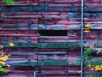 Close-up of weathered wooden wall