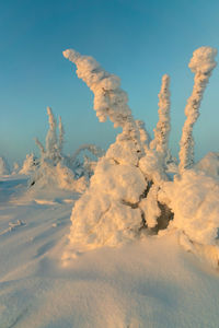 Scenic view of snow covered land against blue sky