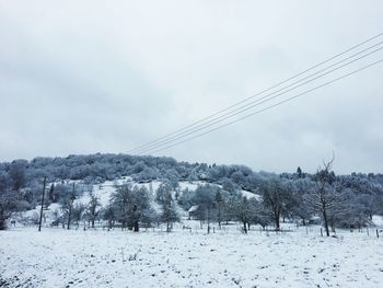 Trees on field against sky during winter