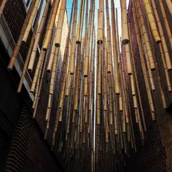 low angle view