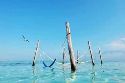 Bird flying over sea against sky