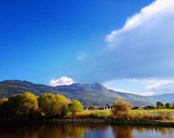 Scenic view of lake by trees against blue sky