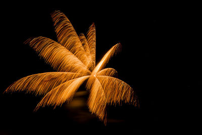 Close-up of illuminated fireworks against sky at night