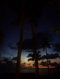 Silhouette palm trees at beach against sky at night