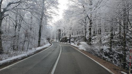 Empty road along bare trees during winter