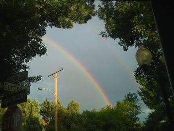 Low angle view of rainbow over trees against sky