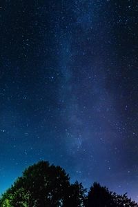 Low angle view of trees against star field at night