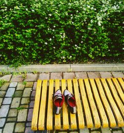 High angle view of shoes on bench at park