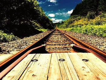 Railroad track passing through trees