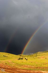 rainbow