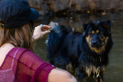 Rear view of woman with dog