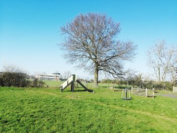 Bare tree on field against clear sky