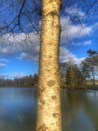 Scenic view of lake in forest against sky