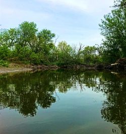 Reflection of trees in lake against sky