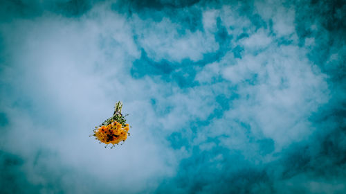 Low angle view of bouquet levitating against cloudy sky