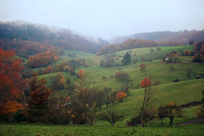 Scenic view of rural landscape