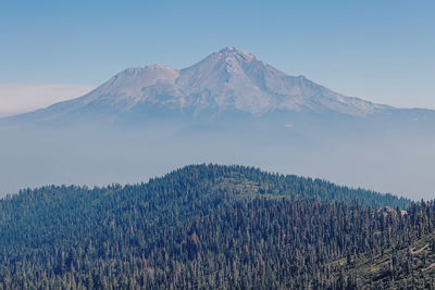 Green forest and mount shasta with no snow on the background. summer heat, climate change