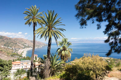 Palm trees by sea against sky