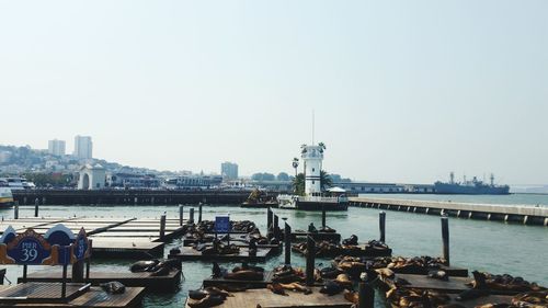 Boats moored at harbor