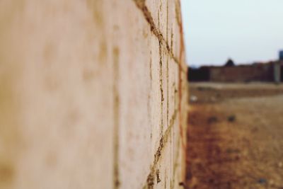 Close-up of old wall