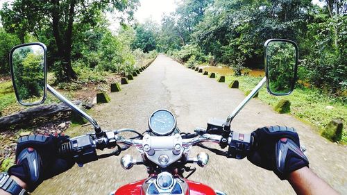 Man riding bicycle on road amidst trees