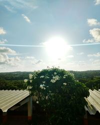 Scenic view of house against sky