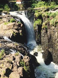 Scenic view of waterfall in forest