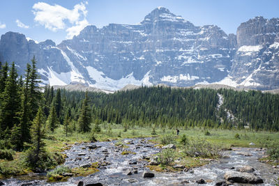 Scenic view of pine trees and snowcapped mountains against sky