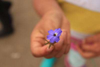 Close-up of hand on flower