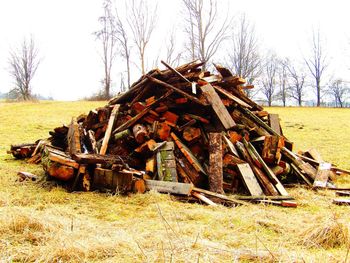 Stack of logs on field against clear sky