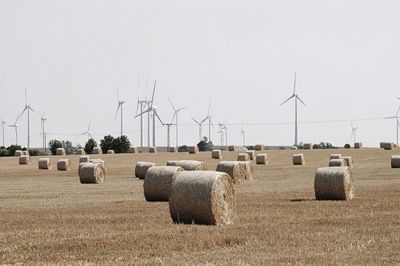 Hay bales on field against clear sky