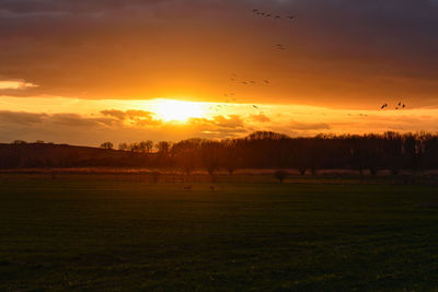 Scenic view of sunset