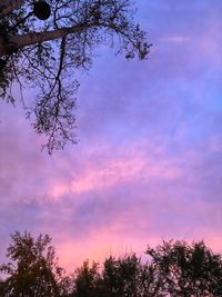 Low angle view of silhouette tree against sky at sunset