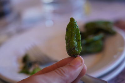 Close-up of hand holding leaf