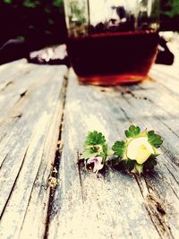 Close-up of wooden plank